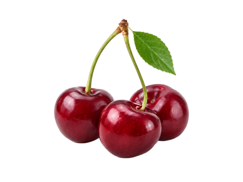 Representative cherry illustration on a transparent background